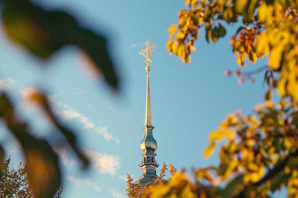Квест в реальности Чернышевская: музей под открытым небом от компании Wegotrip