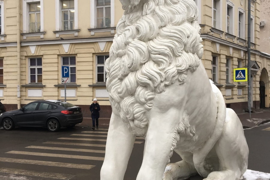 Квест в реальности Кошачий Петербург, или Приключения кота Тимофея от компании Ubego Квест в реальности Кошачий Петербург, или Приключения кота Тимофея от компании Ubego