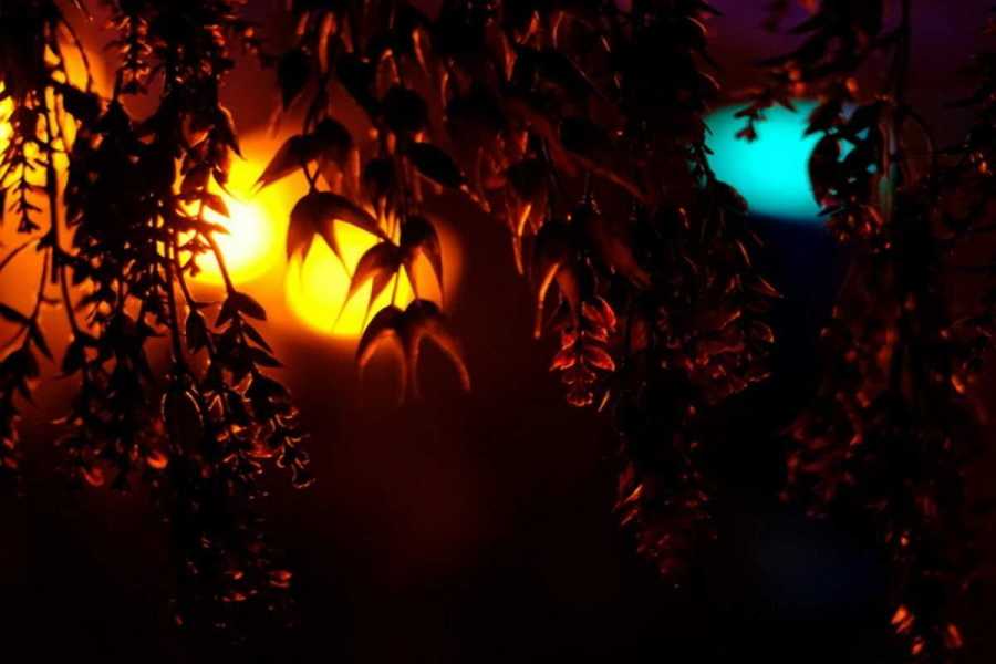 Квест в реальности Внеземной контакт от компании Smile Park Квест в реальности Внеземной контакт от компании Smile Park