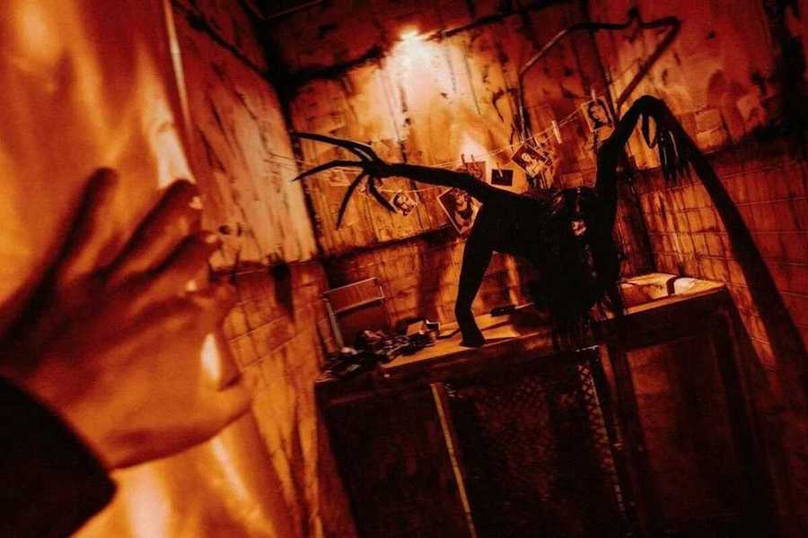 Квест в реальности И гаснет свет от компании Quest Stars Квест в реальности И гаснет свет от компании Quest Stars