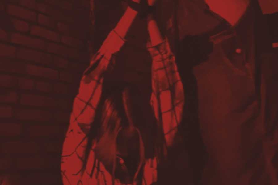 Квест в реальности Свиное рыло от компании Animax Квест в реальности Свиное рыло от компании Animax