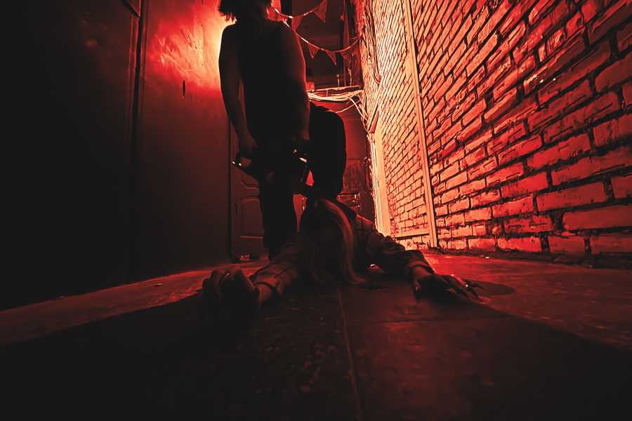 Квест в реальности Свиное рыло от компании Animax Квест в реальности Свиное рыло от компании Animax