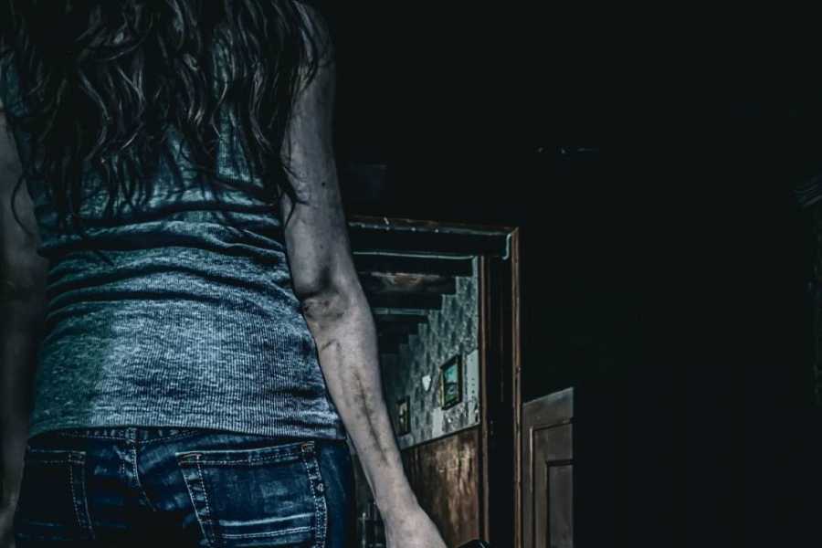 Квест в реальности Resident Evil 7: Biohazard от компании Quest Zone Квест в реальности Resident Evil 7: Biohazard от компании Quest Zone