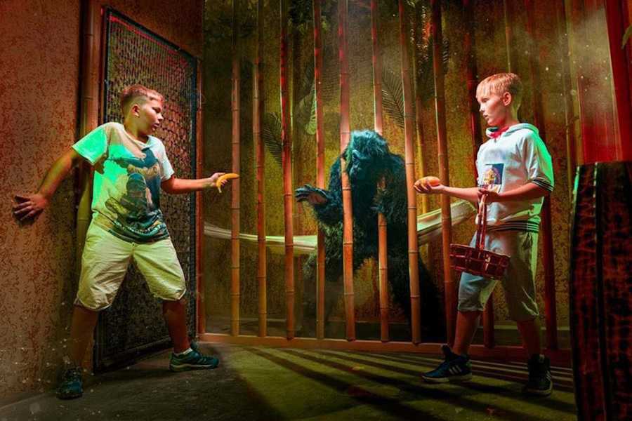 Квест в реальности Джуманджи: загадка тропического леса от компании Погружение Квест в реальности Джуманджи: загадка тропического леса от компании Погружение