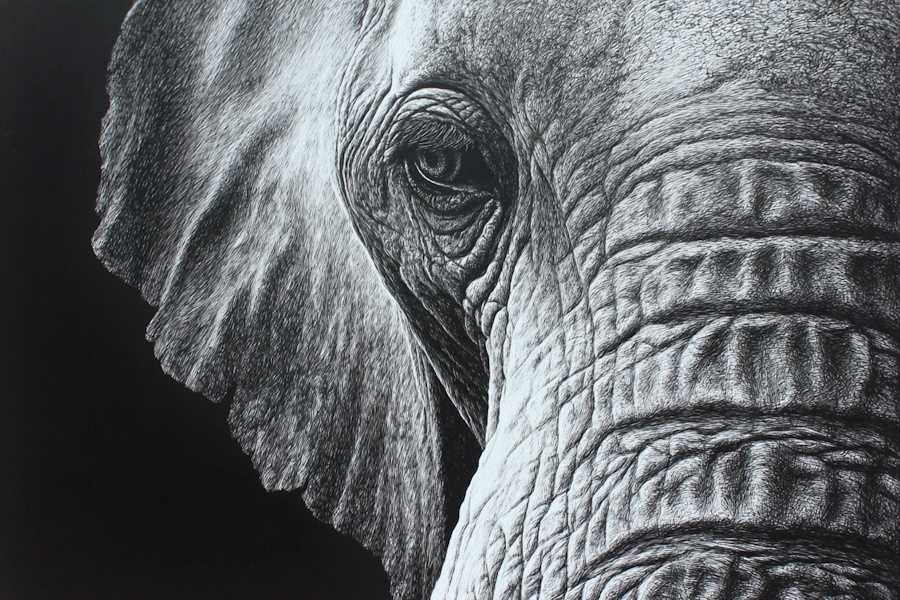 Квест в реальности В поисках слона, или Как мужик за водой ходил от компании Ubego Квест в реальности В поисках слона, или Как мужик за водой ходил от компании Ubego