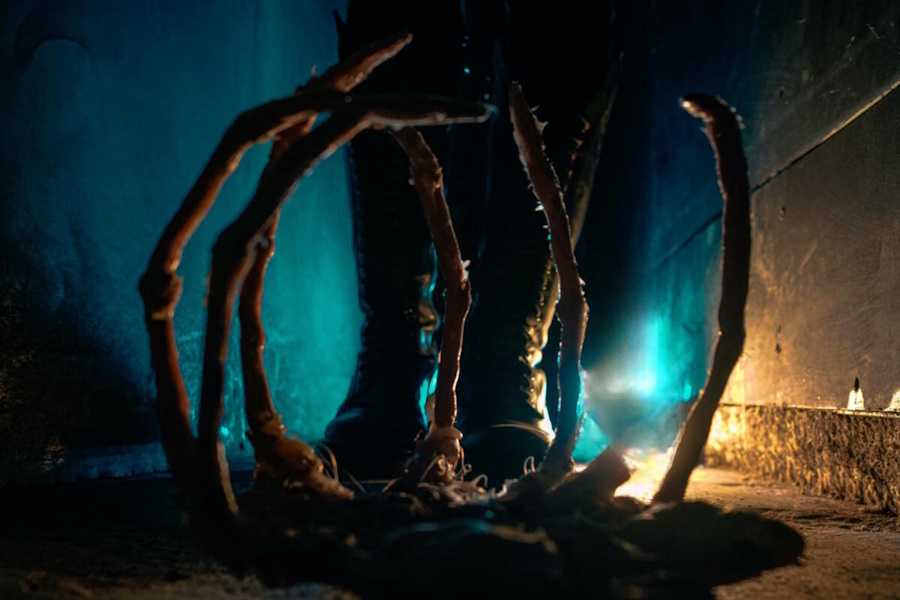 Квест в реальности Чужой: изоляция от компании Quest Stars Квест в реальности Чужой: изоляция от компании Quest Stars