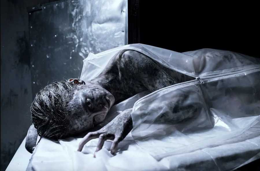 Квест в реальности The Mortuary Assistant от компании Quest Stars Квест в реальности The Mortuary Assistant от компании Quest Stars