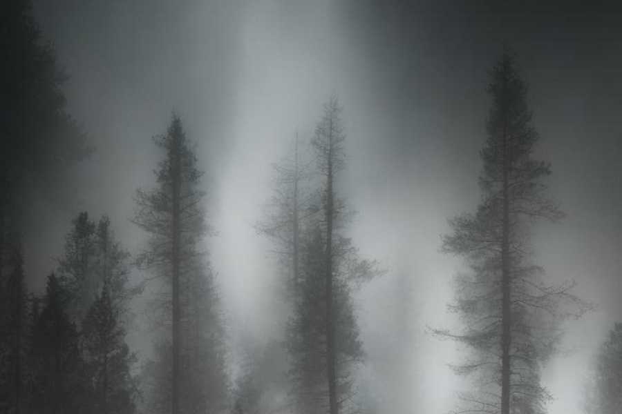 Квест в реальности Повелитель мух от компании Повелитель мух Квест в реальности Повелитель мух от компании Повелитель мух