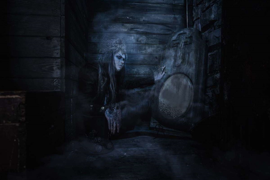 Квест в реальности Тайна заброшенного поместья от компании 4 мозга Квест в реальности Тайна заброшенного поместья от компании 4 мозга